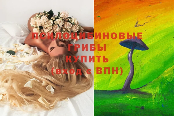 PSILOCYBIN Белоозёрский